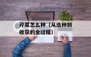芹菜怎么种（从选种到收获的全过程）