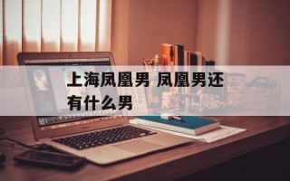 上海凤凰男 凤凰男还有什么男