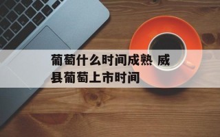 葡萄什么时间成熟 威县葡萄上市时间