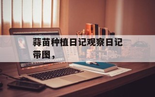 蒜苗种植日记观察日记带图，