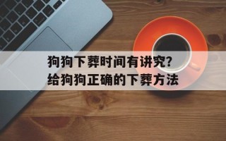 狗狗下葬时间有讲究？给狗狗正确的下葬方法