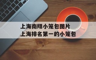 上海南翔小笼包图片 上海排名第一的小笼包