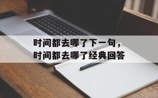 时间都去哪了下一句，时间都去哪了经典回答