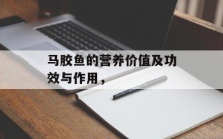 马胶鱼的营养价值及功效与作用，