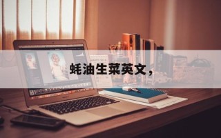 蚝油生菜英文，