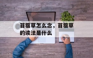 苜蓿草怎么念，苜蓿草的读法是什么