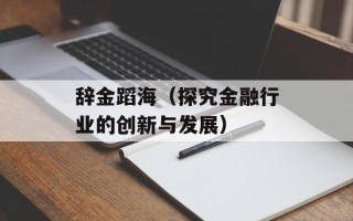 辞金蹈海（探究金融行业的创新与发展）