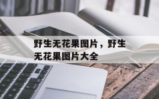 野生无花果图片，野生无花果图片大全