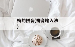 梅的拼音(拼音输入法)