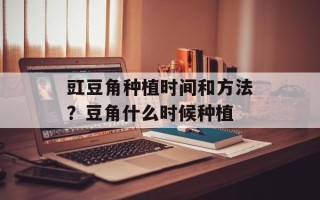 豇豆角种植时间和方法？豆角什么时候种植