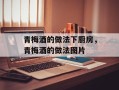 青梅酒的做法下厨房，青梅酒的做法图片