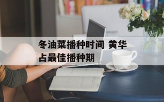 冬油菜播种时间 黄华占最佳播种期