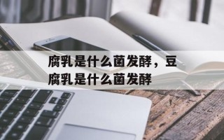 腐乳是什么菌发酵，豆腐乳是什么菌发酵