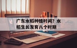 广东水稻种植时间？水稻生长发育八个时期