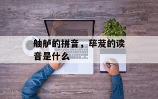 舳舻的拼音，荜茇的读音是什么