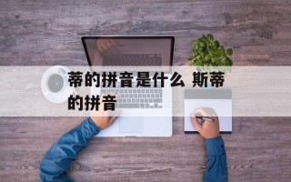蒂的拼音是什么 斯蒂的拼音