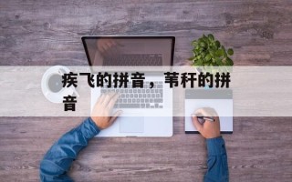 疾飞的拼音，苇秆的拼音