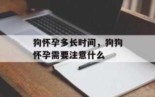 狗怀孕多长时间，狗狗怀孕需要注意什么