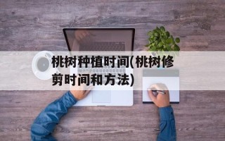 桃树种植时间(桃树修剪时间和方法)