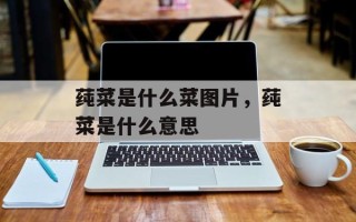 莼菜是什么菜图片，莼菜是什么意思