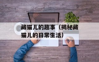 藏猫儿的趣事（揭秘藏猫儿的日常生活）