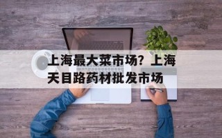 上海最大菜市场？上海天目路药材批发市场