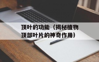 顶叶的功能（揭秘植物顶部叶片的神奇作用）