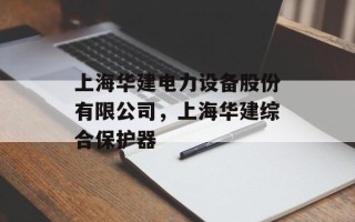 上海华建电力设备股份有限公司，上海华建综合保护器