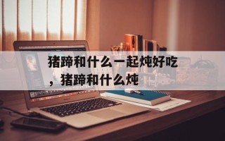 猪蹄和什么一起炖好吃，猪蹄和什么炖