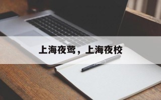 上海夜莺，上海夜校