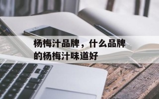 杨梅汁品牌，什么品牌的杨梅汁味道好