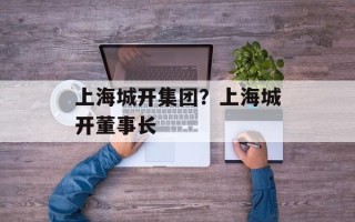 上海城开集团？上海城开董事长