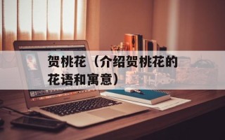贺桃花（介绍贺桃花的花语和寓意）