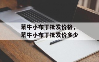 蒙牛小布丁批发价格，蒙牛小布丁批发价多少