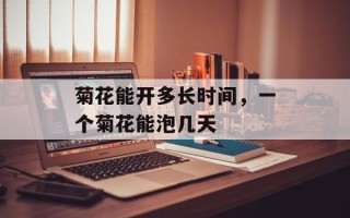 菊花能开多长时间，一个菊花能泡几天