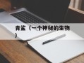 青鲨（一个神秘的生物）