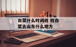 白菜什么时间收 收白菜去山东什么地方