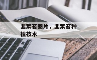 韭菜苔图片，韭菜苔种植技术