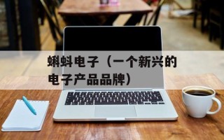 蝌蚪电子（一个新兴的电子产品品牌）
