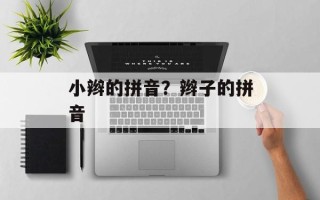 小辫的拼音？辫子的拼音