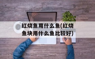 红烧鱼用什么鱼(红烧鱼块用什么鱼比较好)