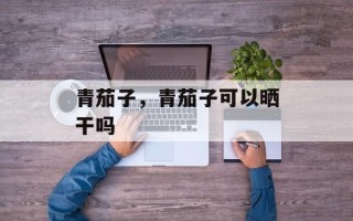 青茄子，青茄子可以晒干吗