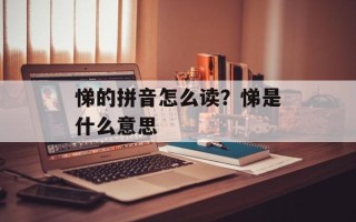 悌的拼音怎么读？悌是什么意思