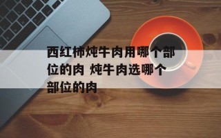 西红柿炖牛肉用哪个部位的肉 炖牛肉选哪个部位的肉