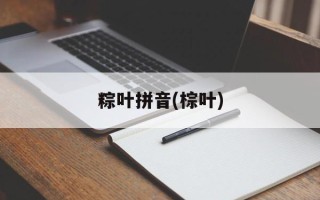 粽叶拼音(棕叶)