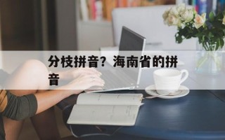 分枝拼音？海南省的拼音