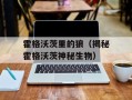 霍格沃茨里的狼（揭秘霍格沃茨神秘生物）