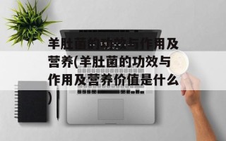 羊肚菌的功效与作用及营养(羊肚菌的功效与作用及营养价值是什么)