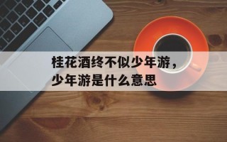 桂花酒终不似少年游，少年游是什么意思