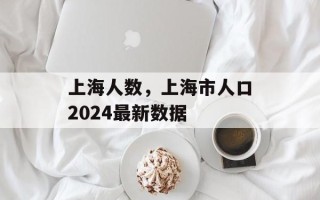 上海人数，上海市人口2024最新数据